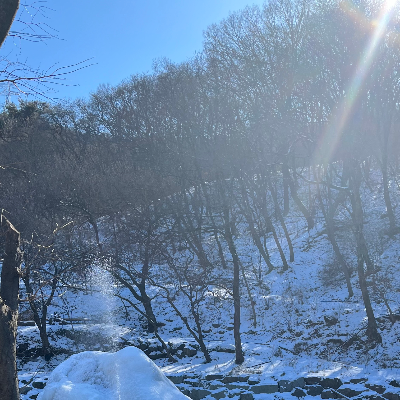무료 카지노 게임