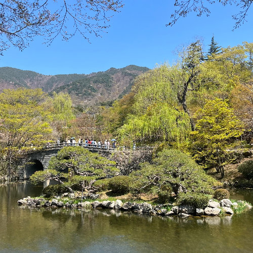 온라인 카지노 게임