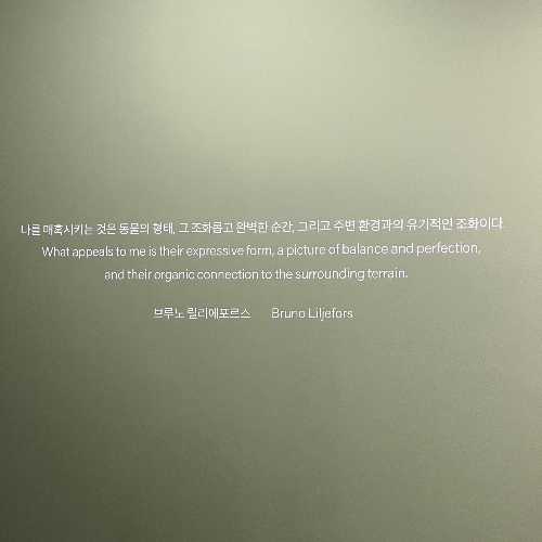카지노 게임 사이트