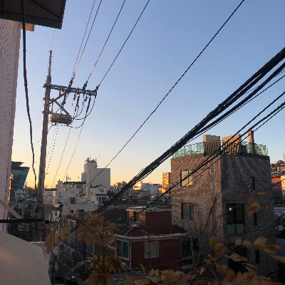 무료 카지노 게임