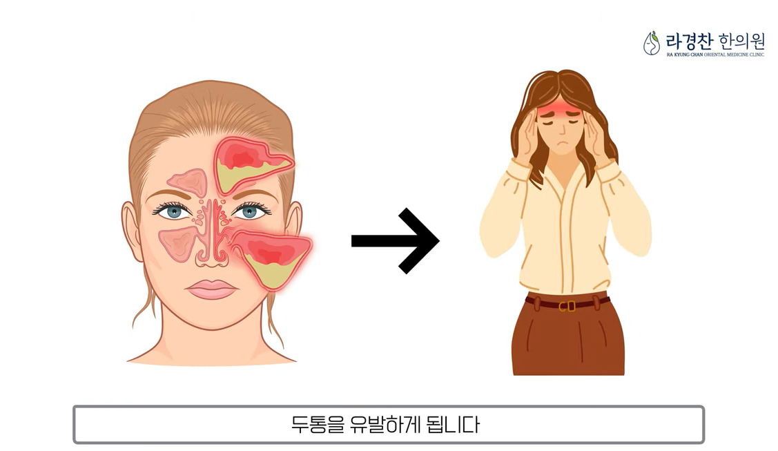 카지노 게임 사이트