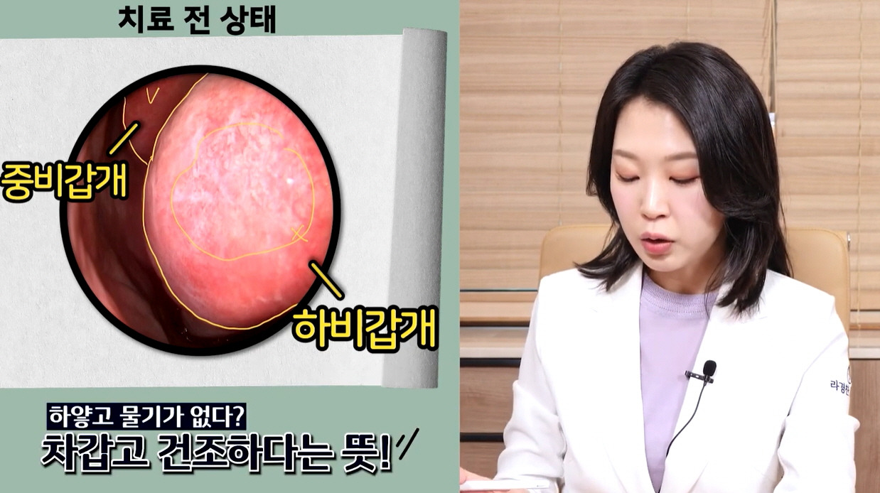 카지노 게임 사이트