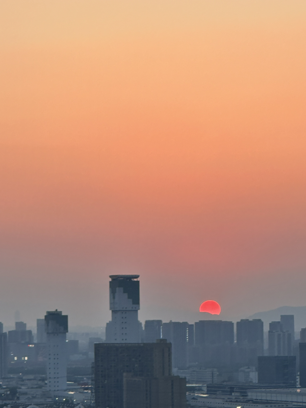 무료 카지노 게임