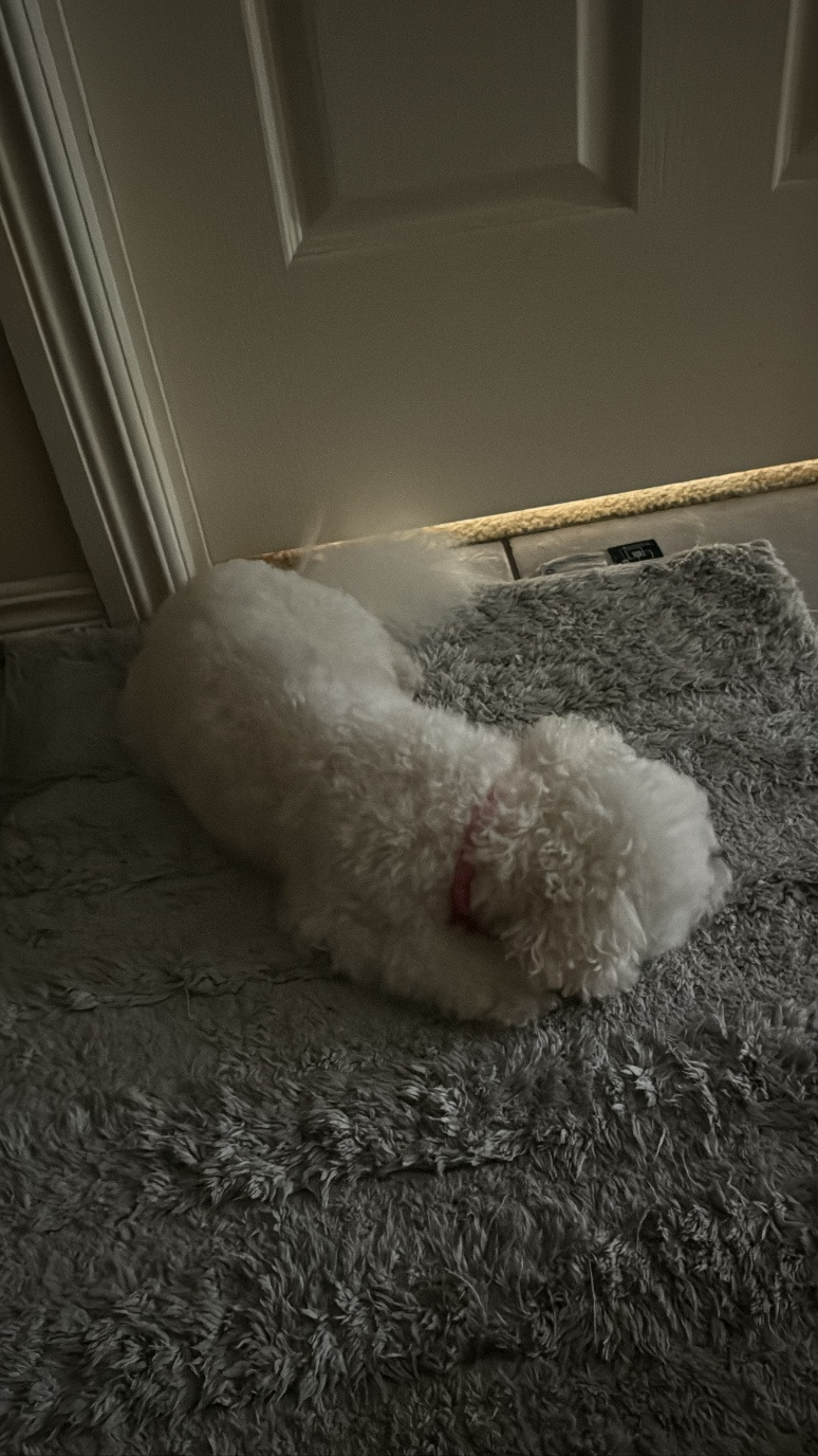 카지노 가입 쿠폰