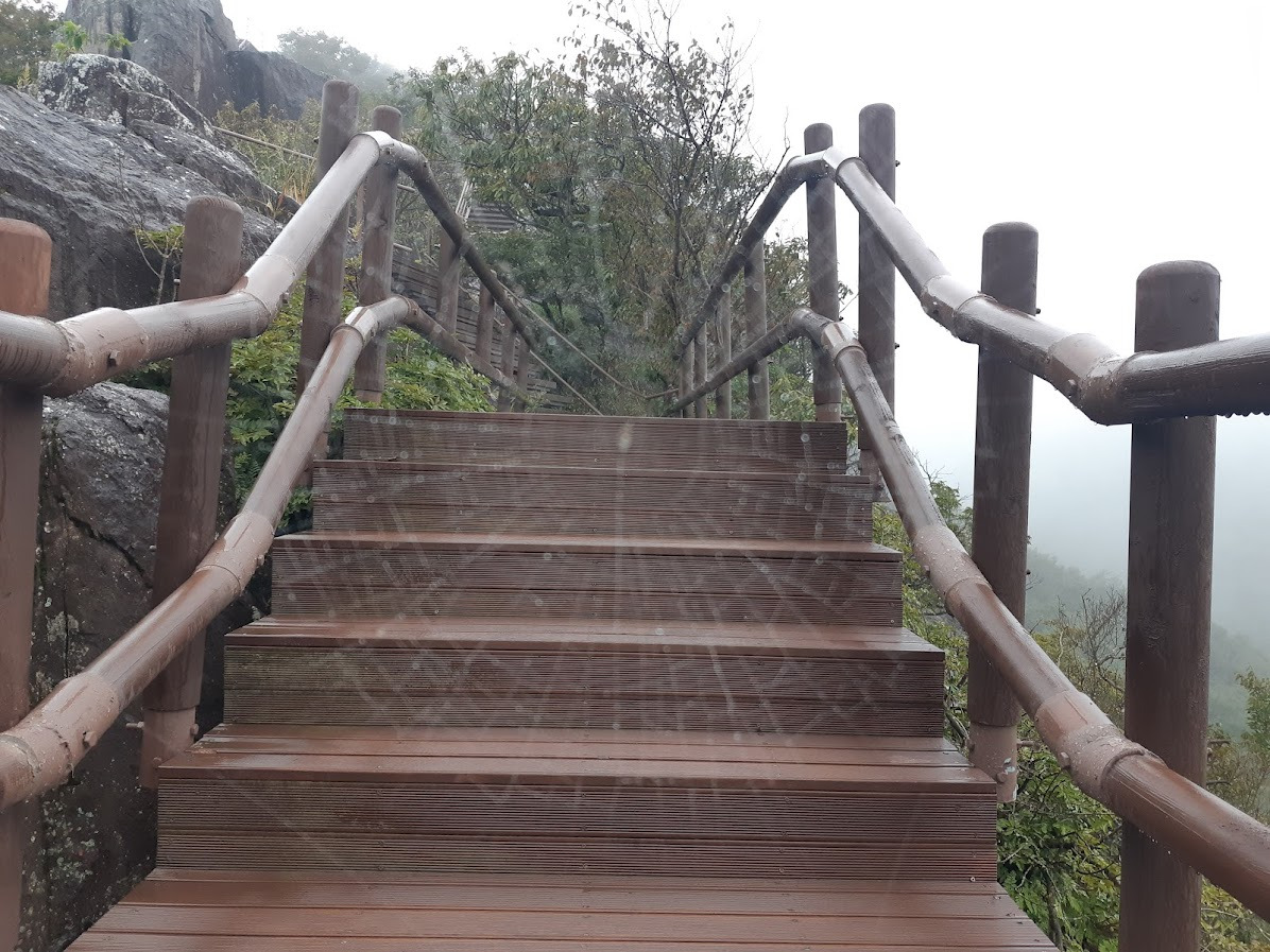 카지노 쿠폰