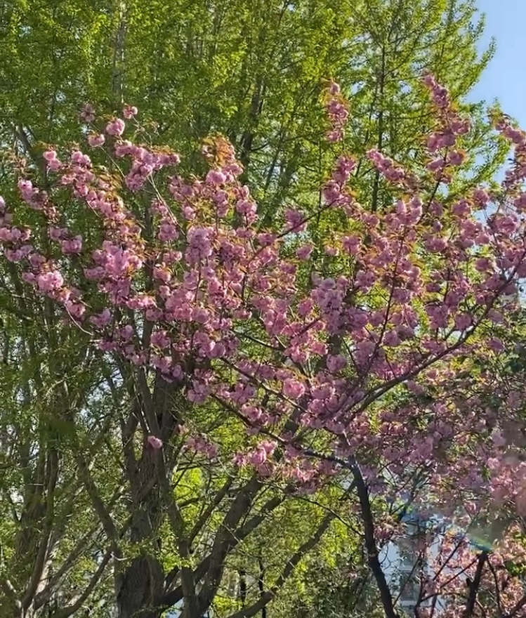 카지노 게임 사이트