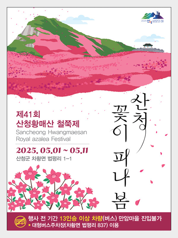 카지노 게임 사이트