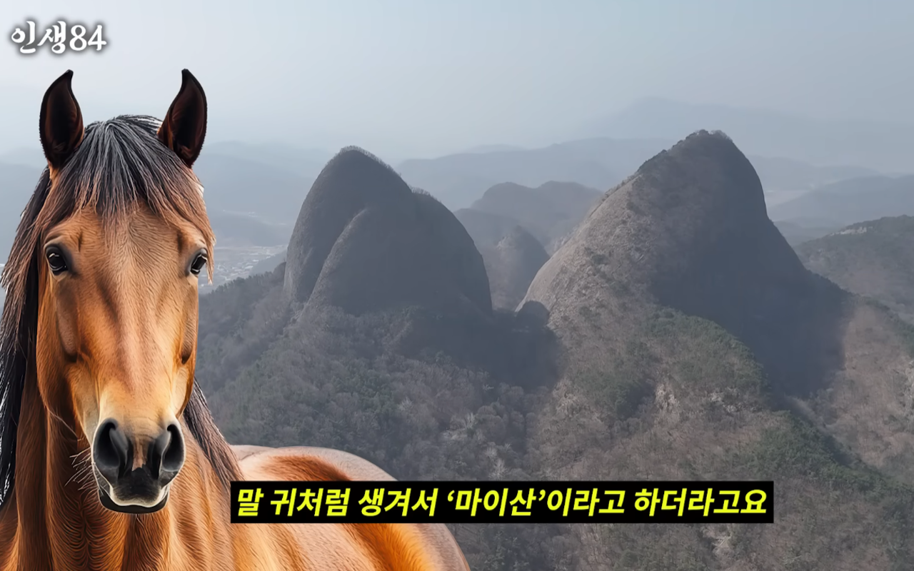 온라인 카지노 게임