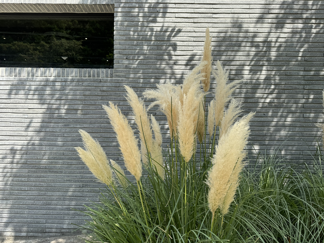 카지노 게임 사이트