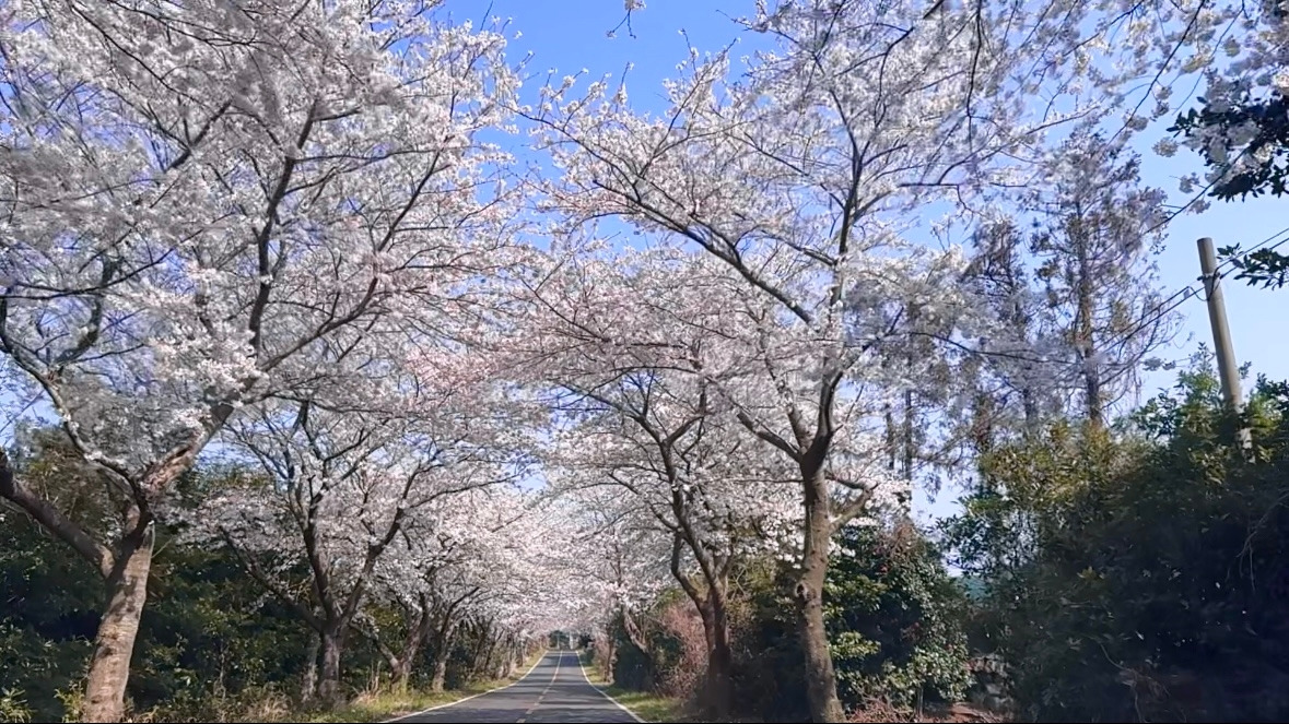 카지노 게임