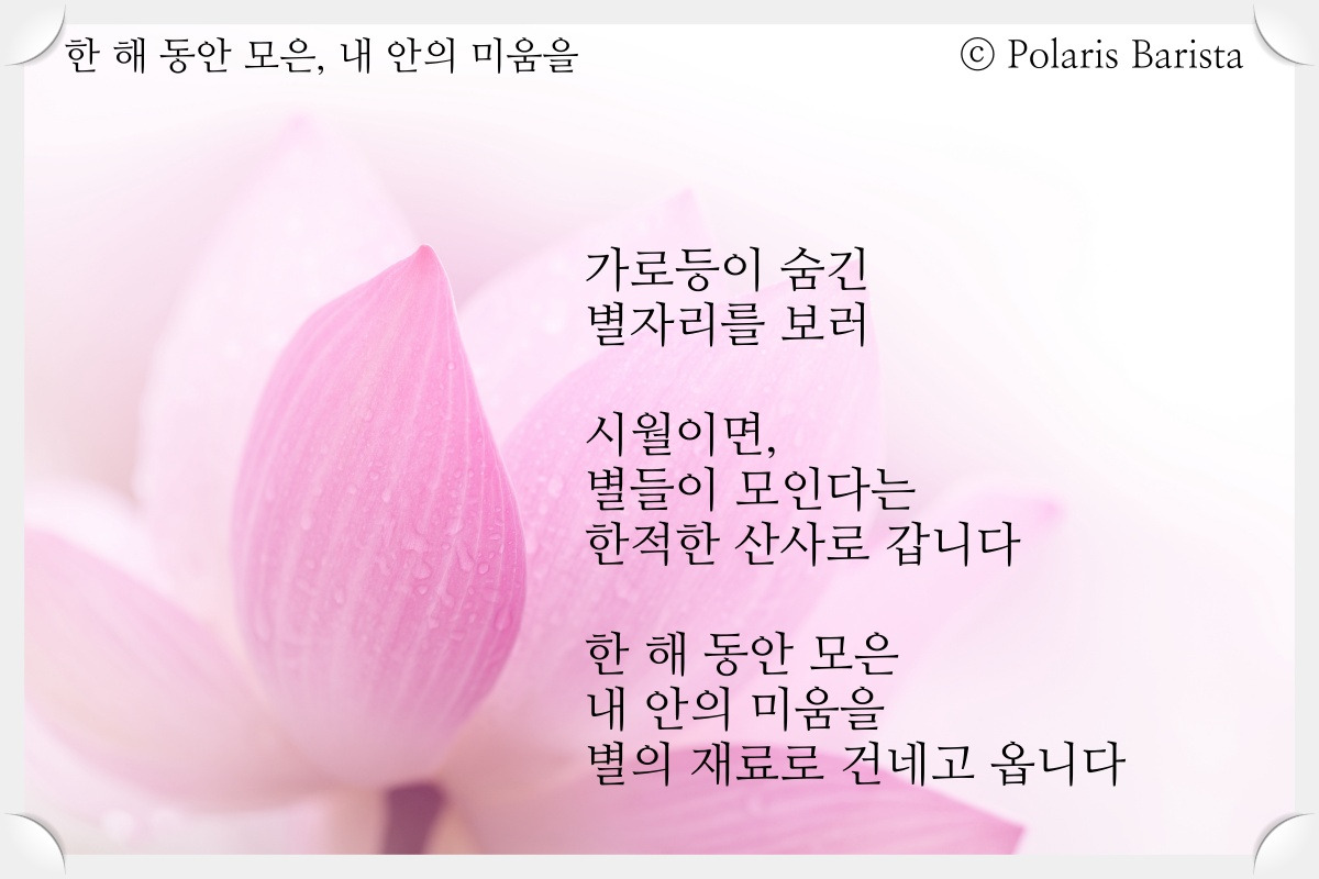 한 해 동안 모은, 내 안의 미움을