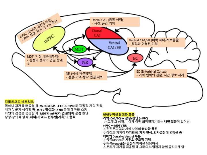 카지노 쿠폰