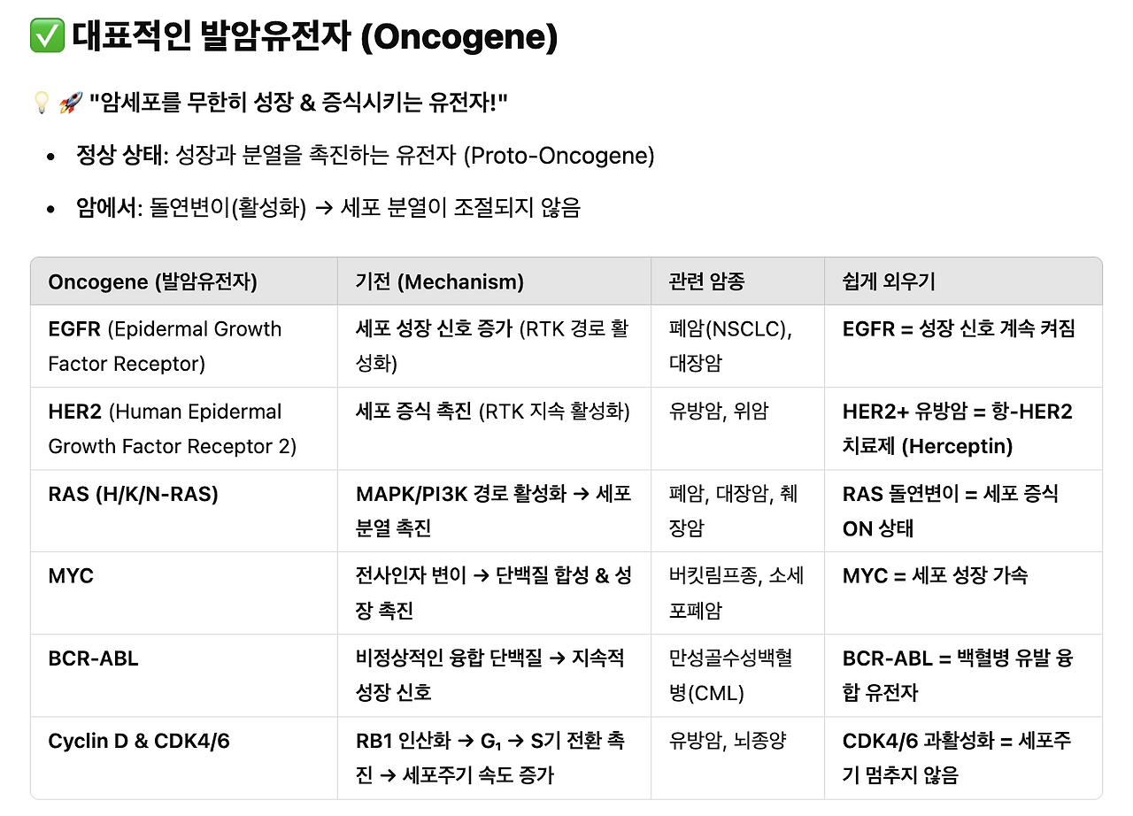 카지노 쿠폰