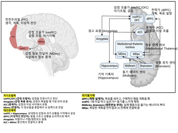 카지노 쿠폰
