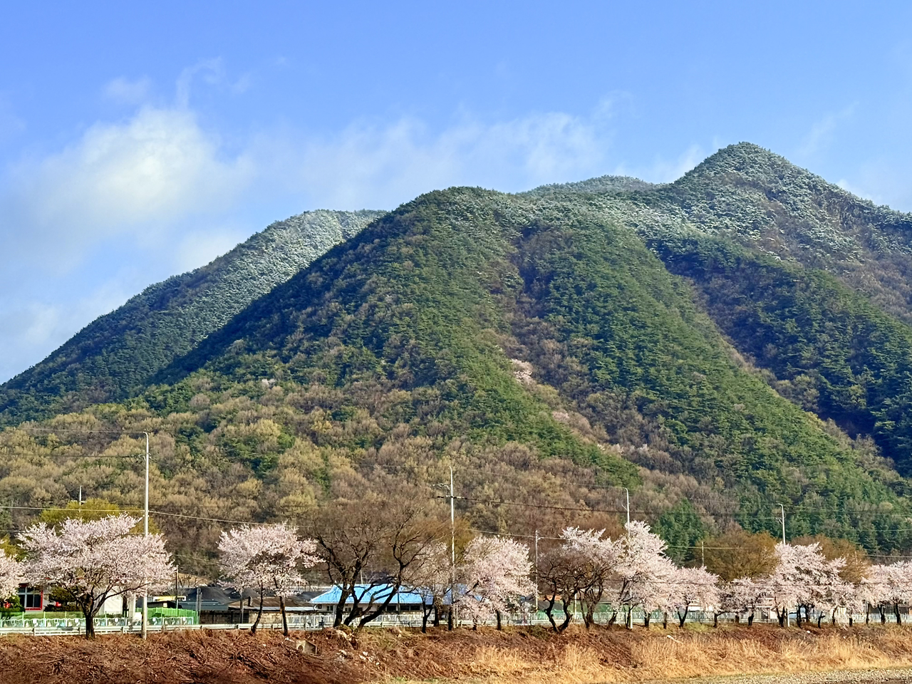 온라인 카지노 게임