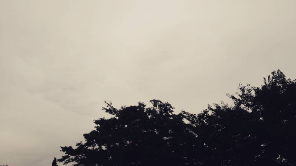 카지노 가입 쿠폰