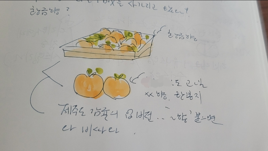 슬롯사이트 소닉 메이저