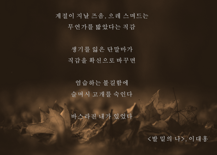 발 밑의 나