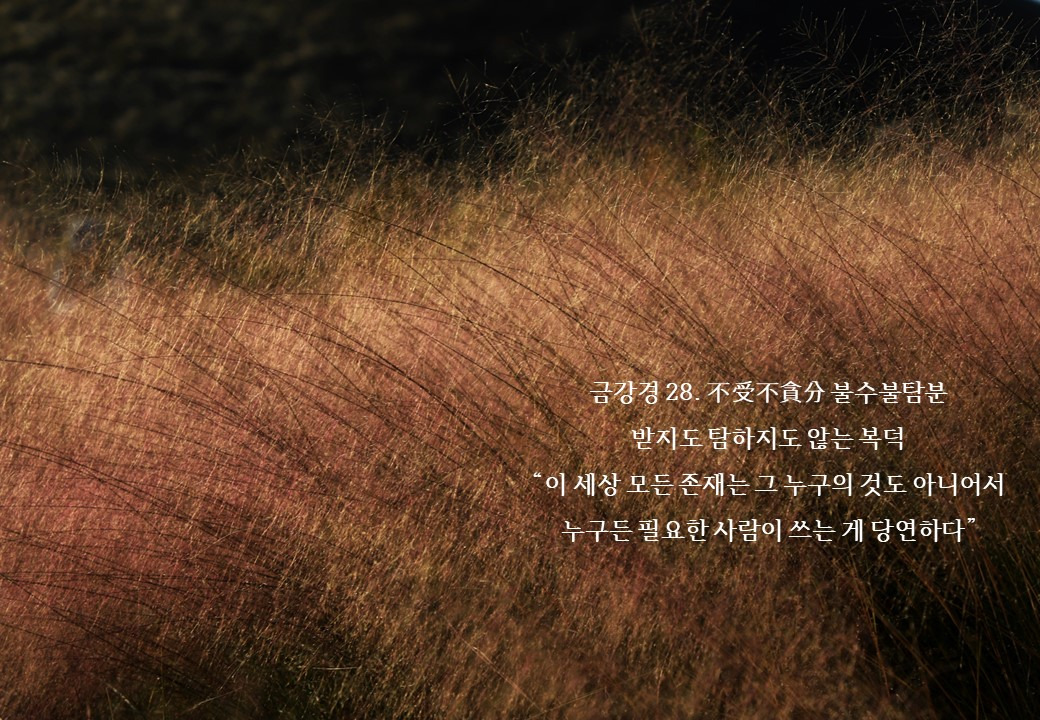 온라인 카지노 게임
