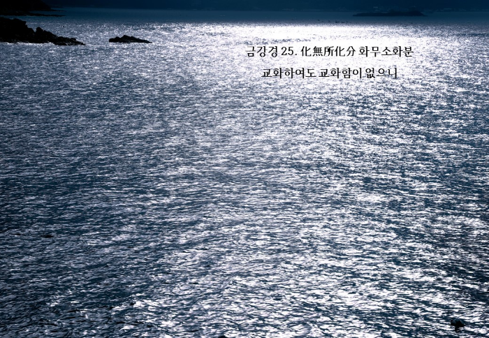 무료 카지노 게임