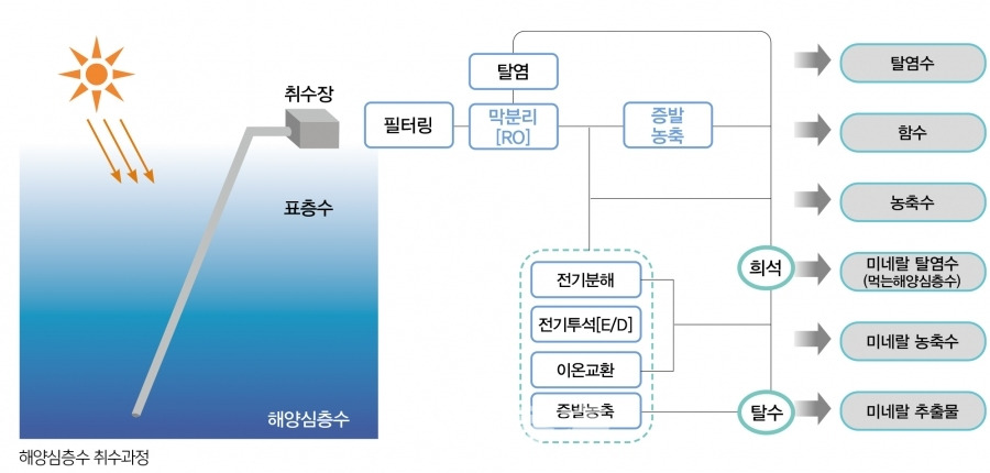 카지노 한국인