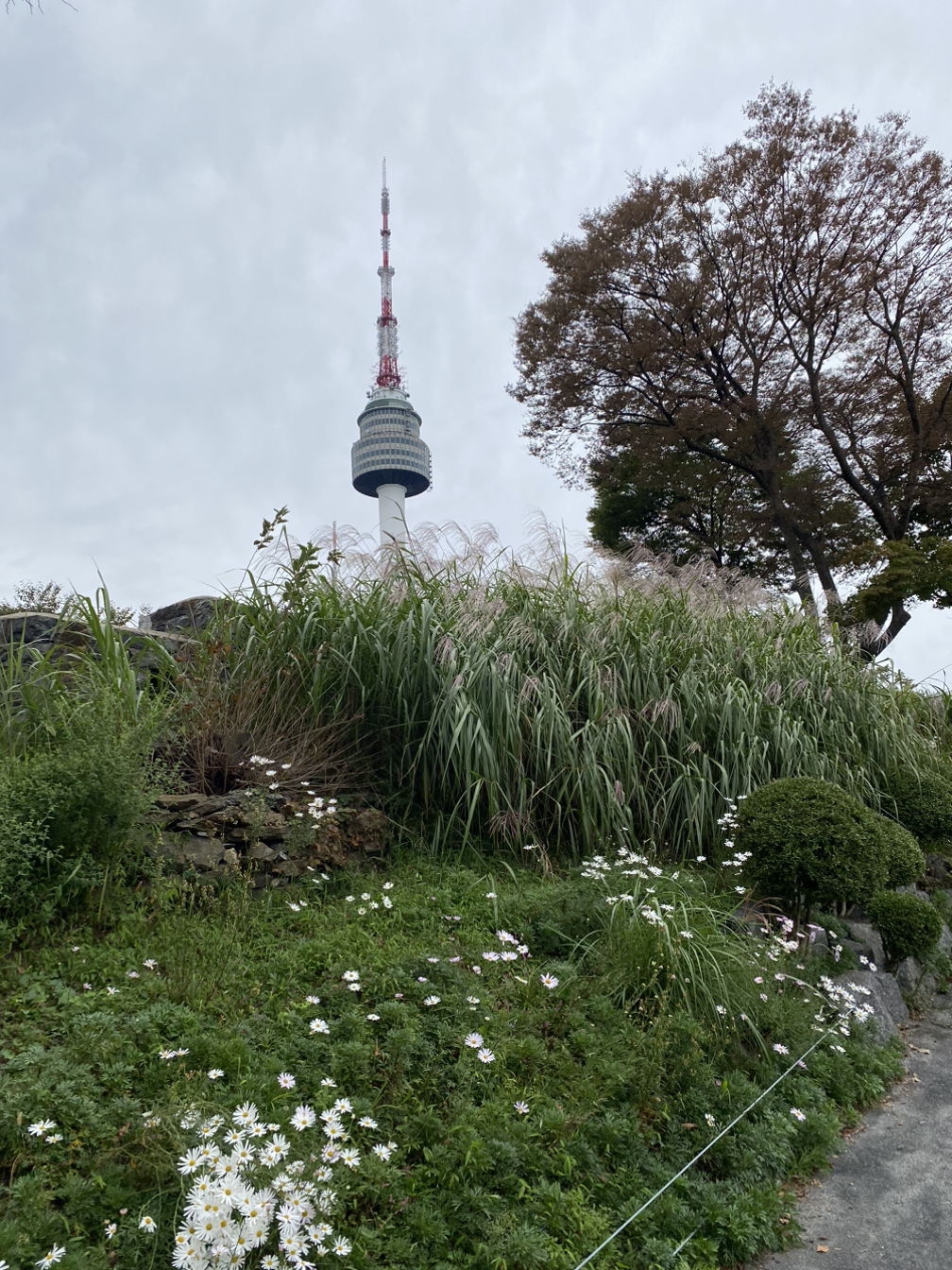 1. 남산 오르기 1시간-2024-10