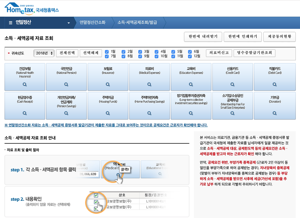 연말정산간소화 서비스 애플 Macos 조회출력 가능