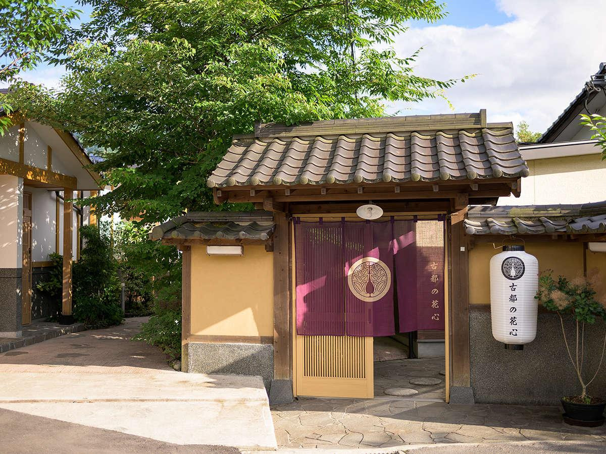 카지노 게임 사이트