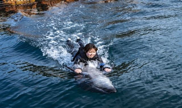 카지노 쿠폰