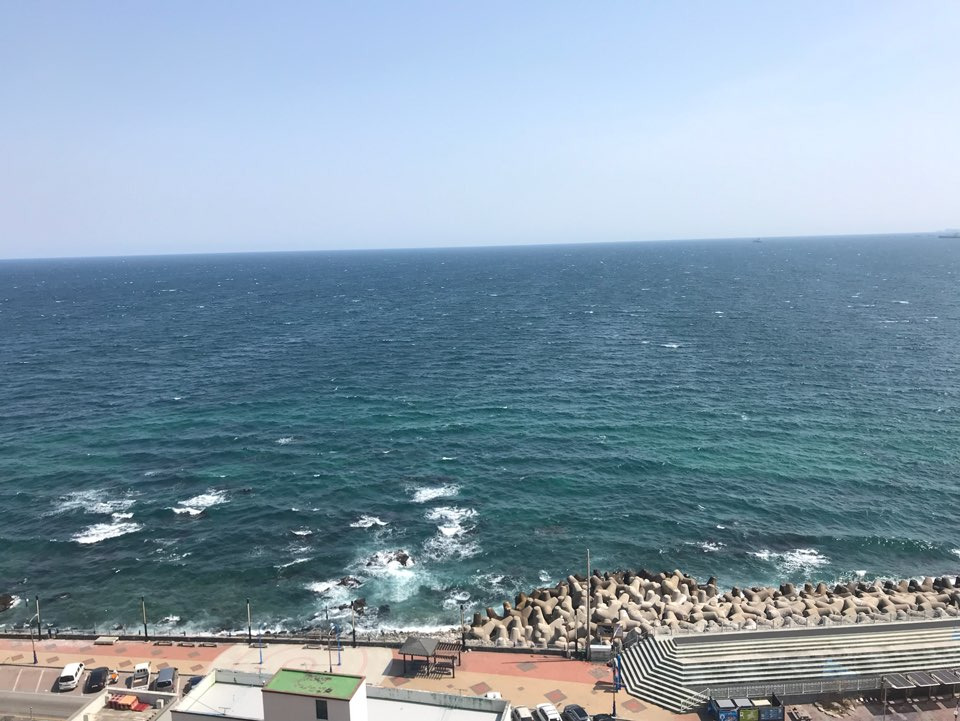 숨은 핫플! 올 여름은 강원도 묵호에서 즐기는 동해