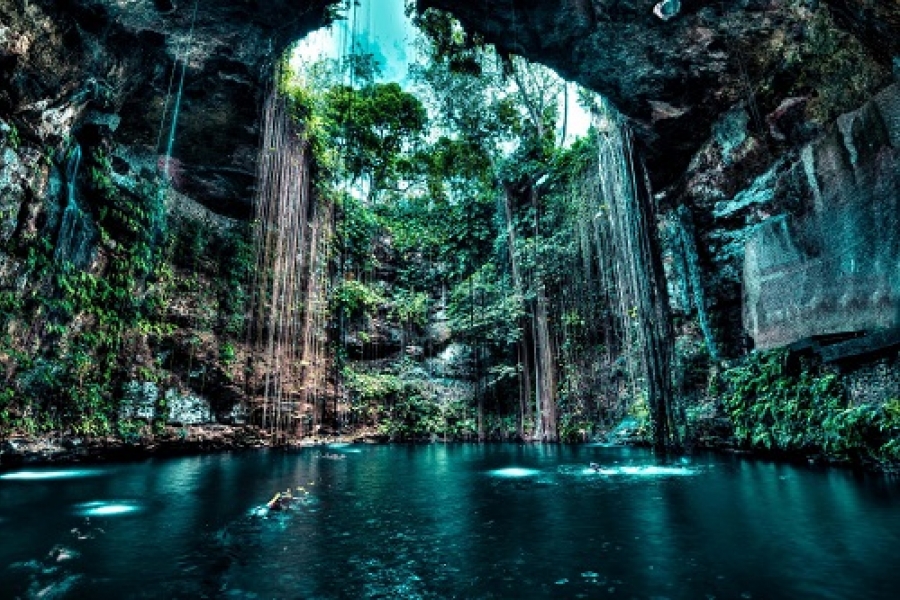 멕시코 칸쿤 천연동굴 속 비밀,  세노테(Cenote)