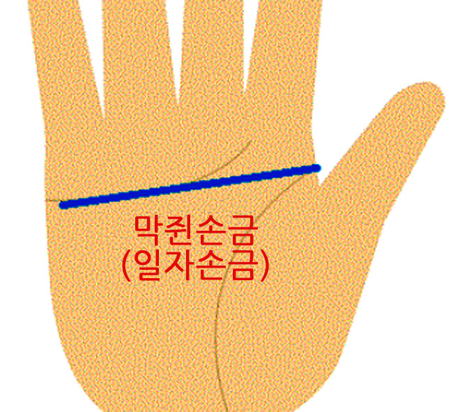 막쥔 손금(일자 손금) 풀이 장점, 단점 알아보기::이야기 보따리