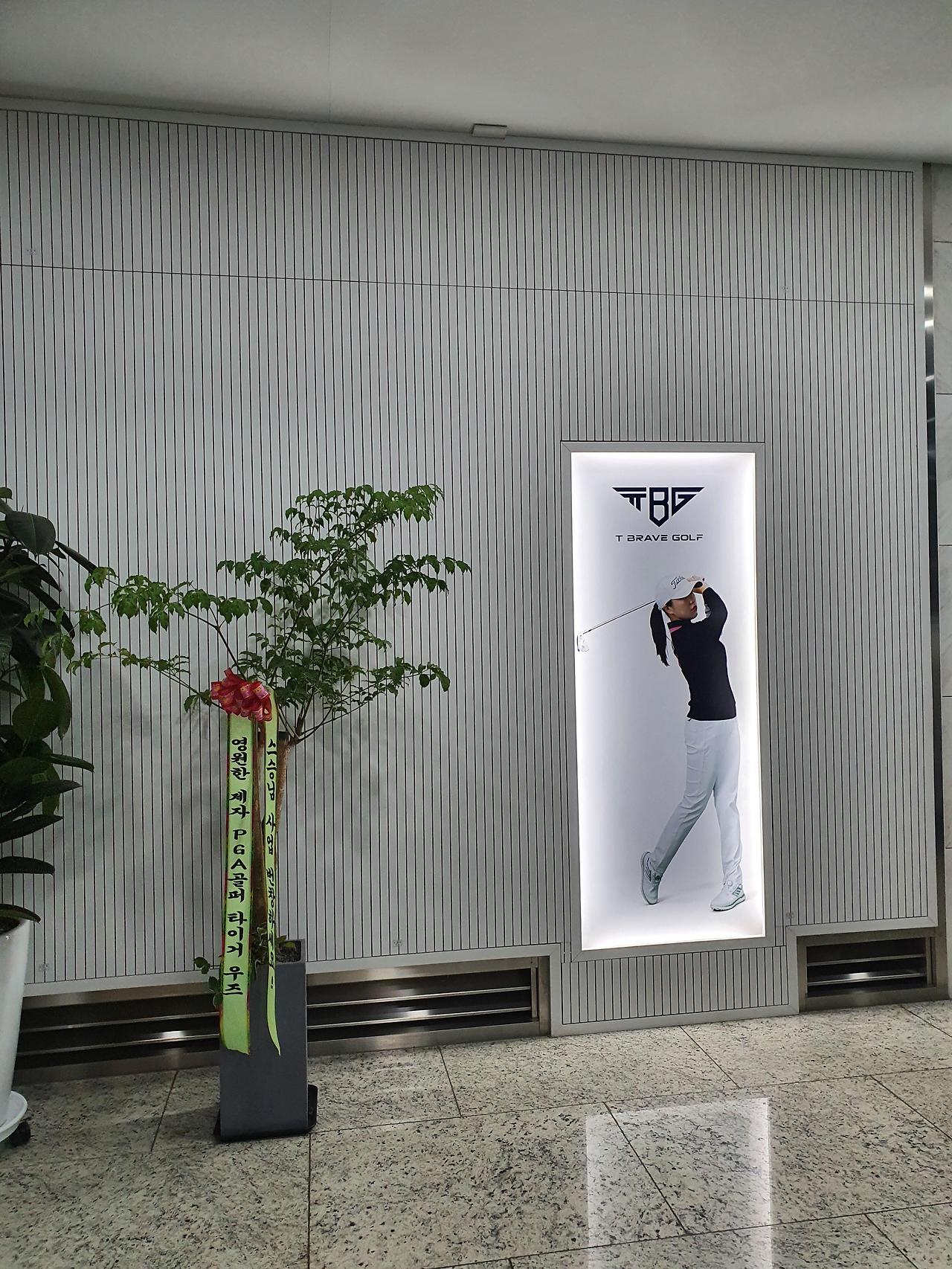 티브레이브골프스튜디오 트랙맨 골프레슨 1 ywAAAAAAQABAAACAUwAOw==