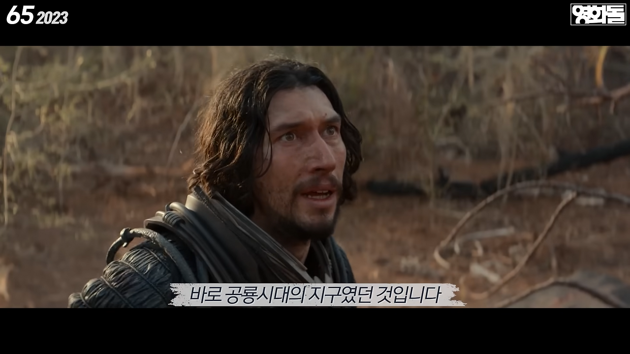65 영화