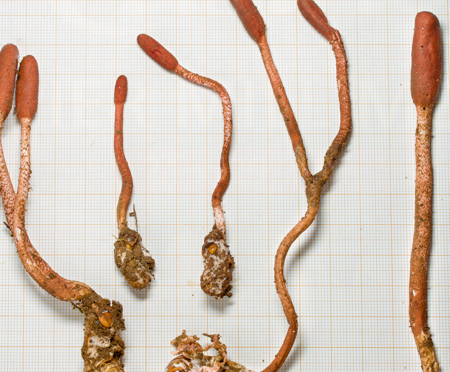 物理学者が宇宙の「重さ」に不一致の可能性があることを特定