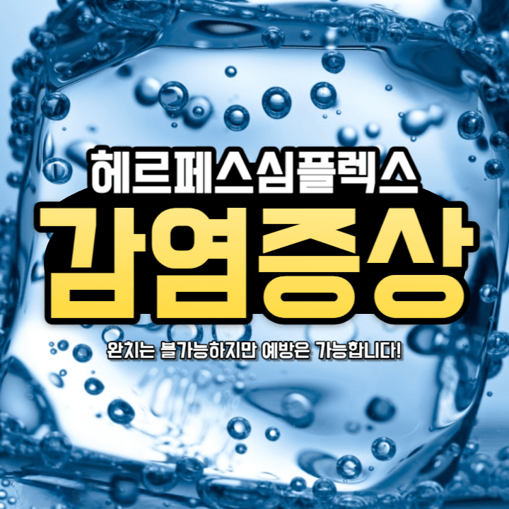 헤르페스 바이러스 감염 : 완치는 불가능하지만 이렇게 예방하세요! 1 헤르페스-헤르페스 증상