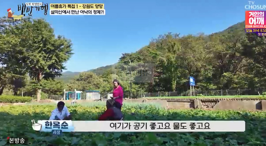 백반기행 설악산 양양 모둠 정식, 건강에서 가성비까지 맛집, 어디? 의기양양 김성경 양양 밥상 3 ywAAAAAAQABAAACAUwAOw==