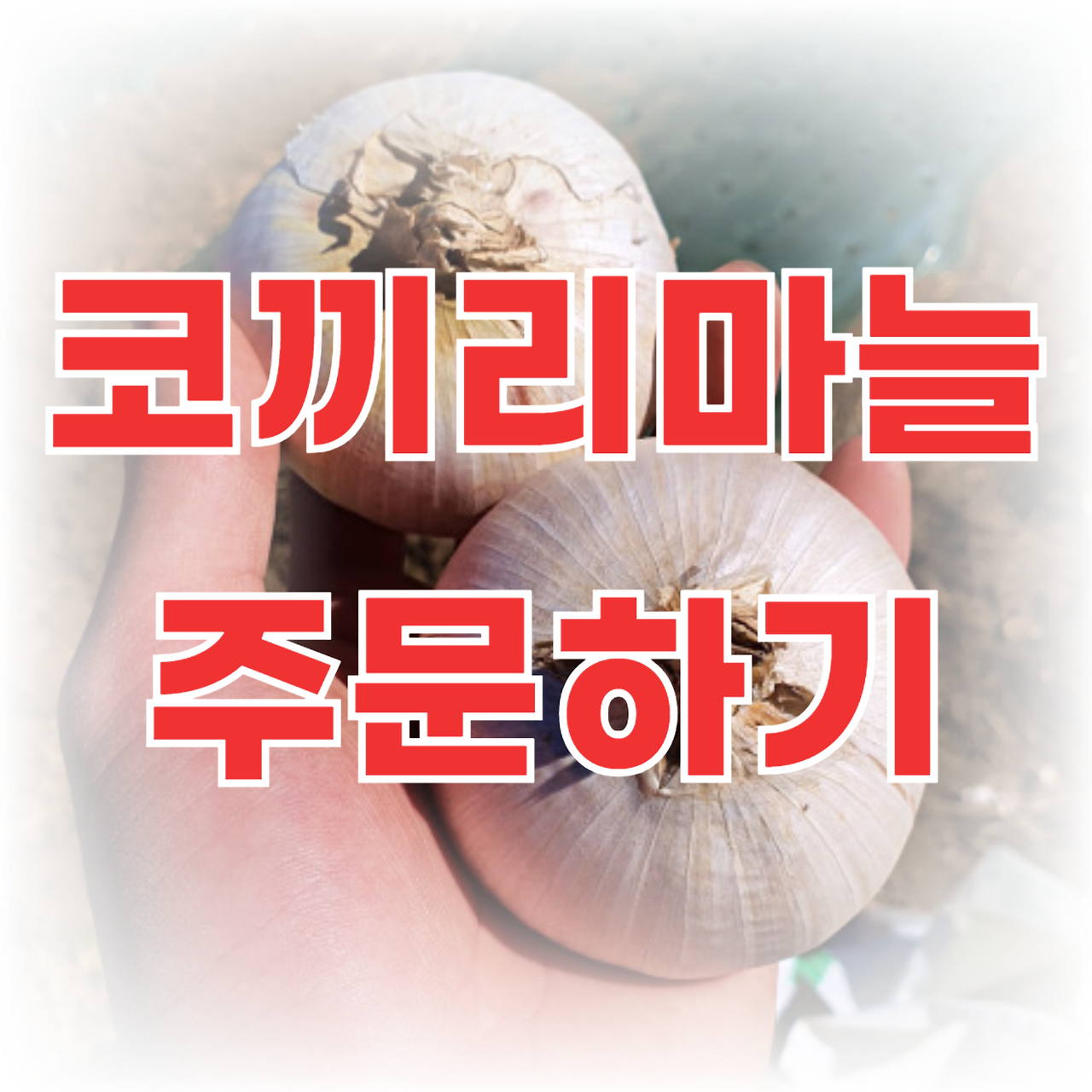 아로스 팝업