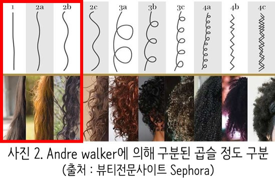 andre walker에 의한 곱슬 머리 기준