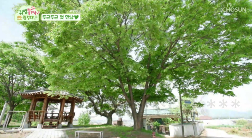귀염뽕짝 원정대 1회 서산 한옥 시골집 숙소 예약 방법 알아보기 2 ywAAAAAAQABAAACAUwAOw==