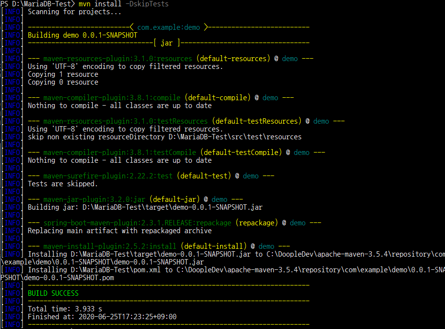  springboot dskiptests 