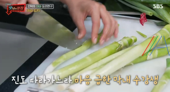 맛남의 광장 대파김치 레시피 만드는법 - 백종원 대파 김치 6 ywAAAAAAQABAAACAUwAOw==