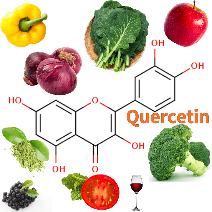 자연에서 쉽게 얻을 수 있는 퀘르세틴의 모든 것 1 Quercetin