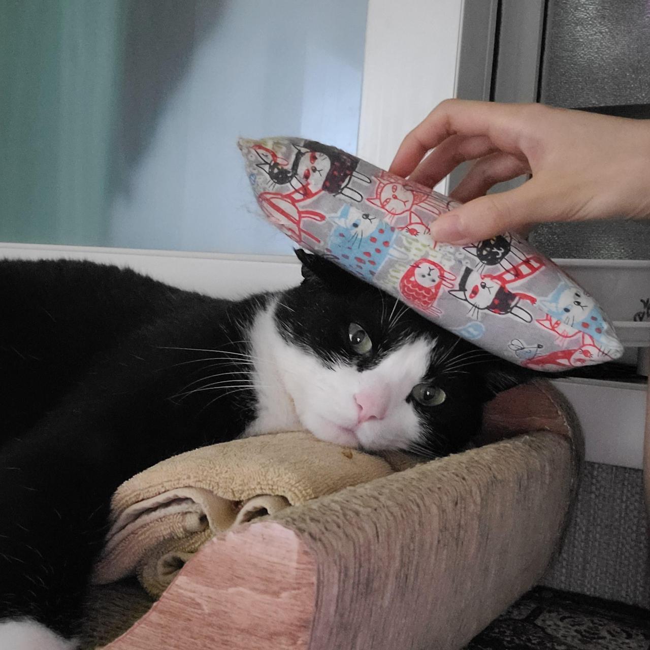 ?scode=mtistory2&fname=https%3A%2F%2Fblo