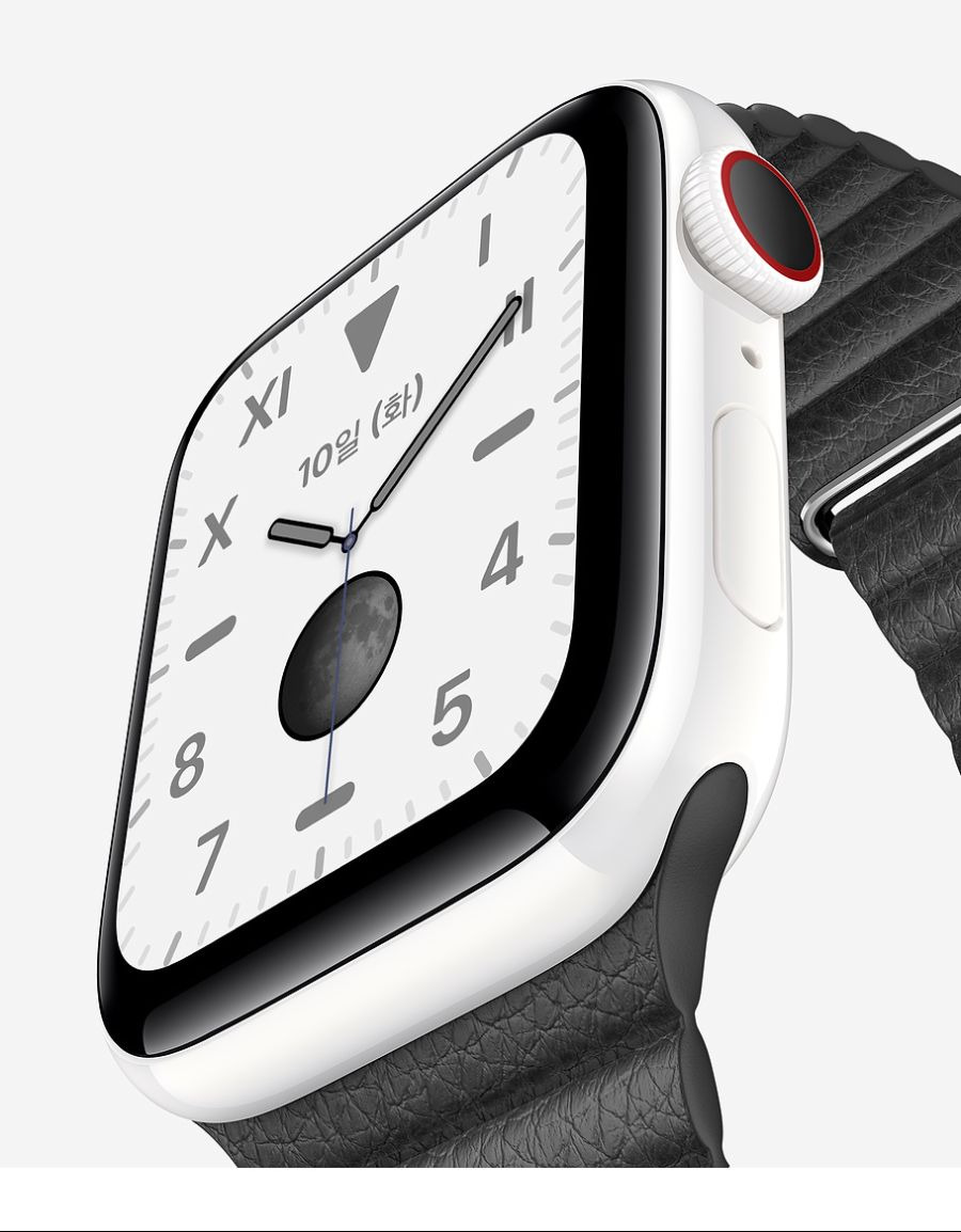 apple watch 5 2019