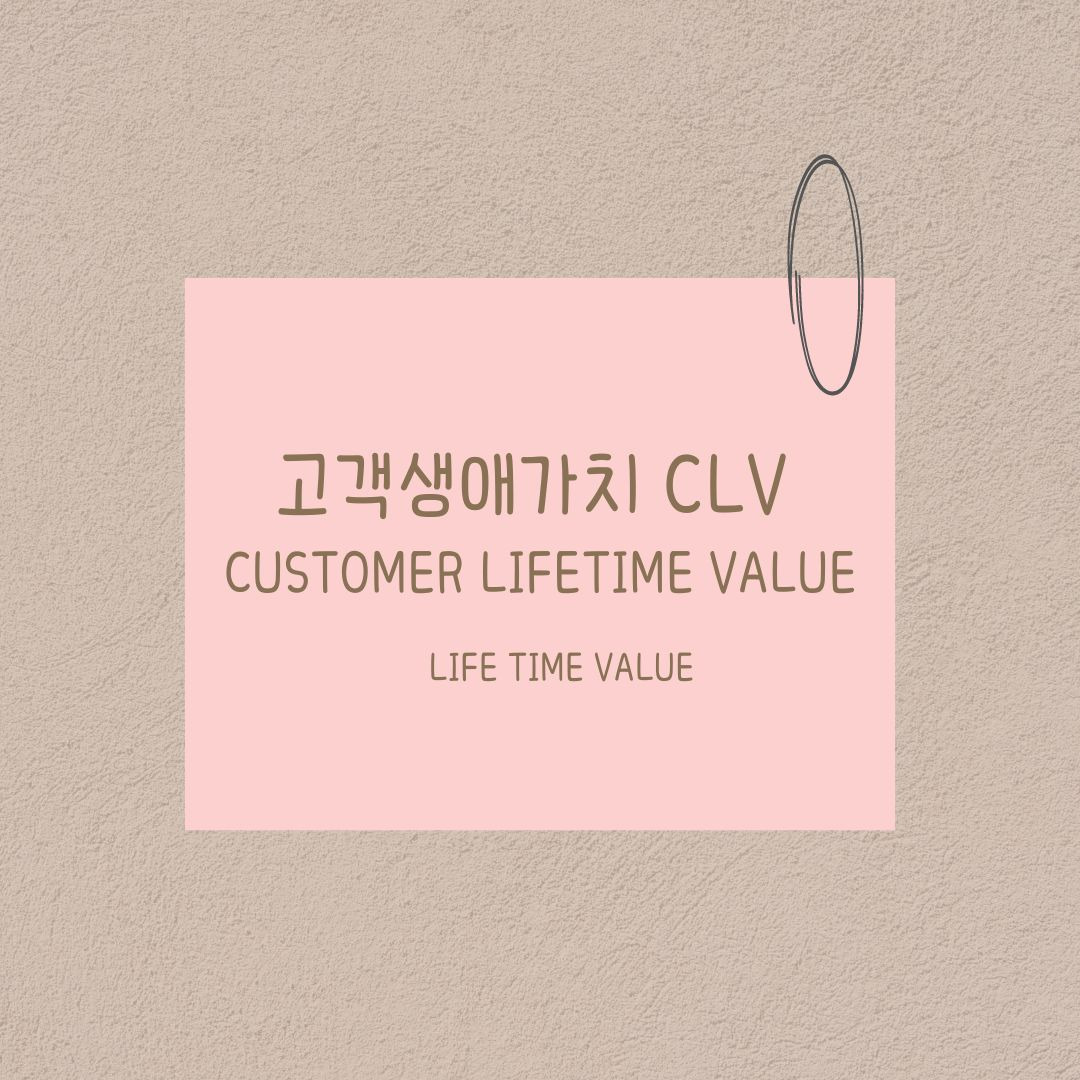  clv customer lifetime value