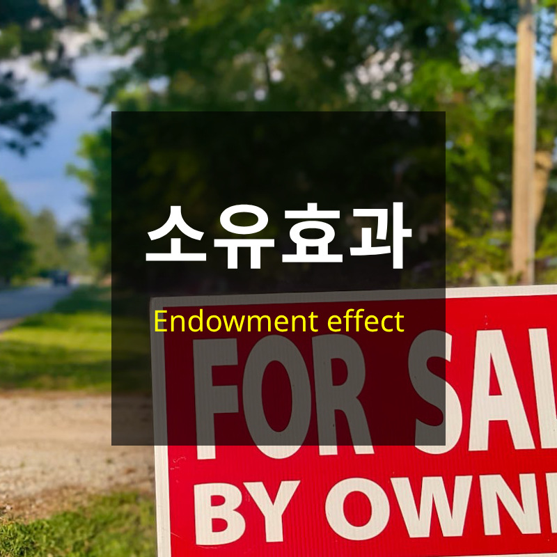 endowment-effect