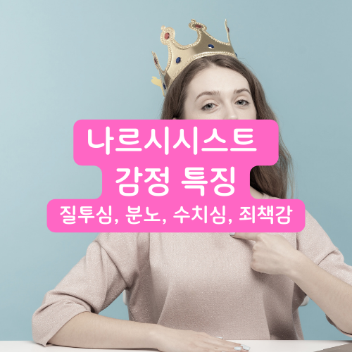 나르시시스트 감정 특징 - 질투심, 분노, 수치심, 죄책감