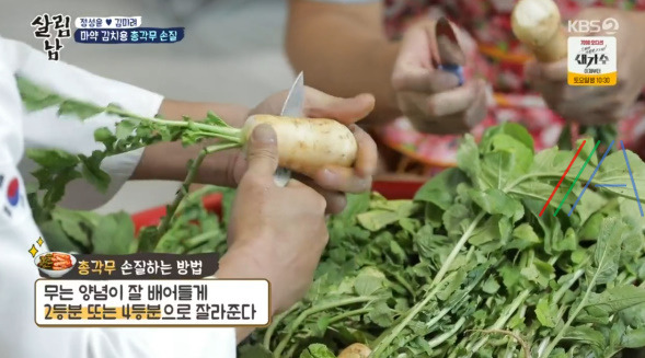 살림남 마약 김치 양념장, 총각무 김치 & 대파 김치 담그기 만들기 만드는 법 레시피, 정성윤 임성근 김장 김치 담그는법 만들기 레시피 - 2시간 김장김치 + 비법 양념장 3 ywAAAAAAQABAAACAUwAOw==