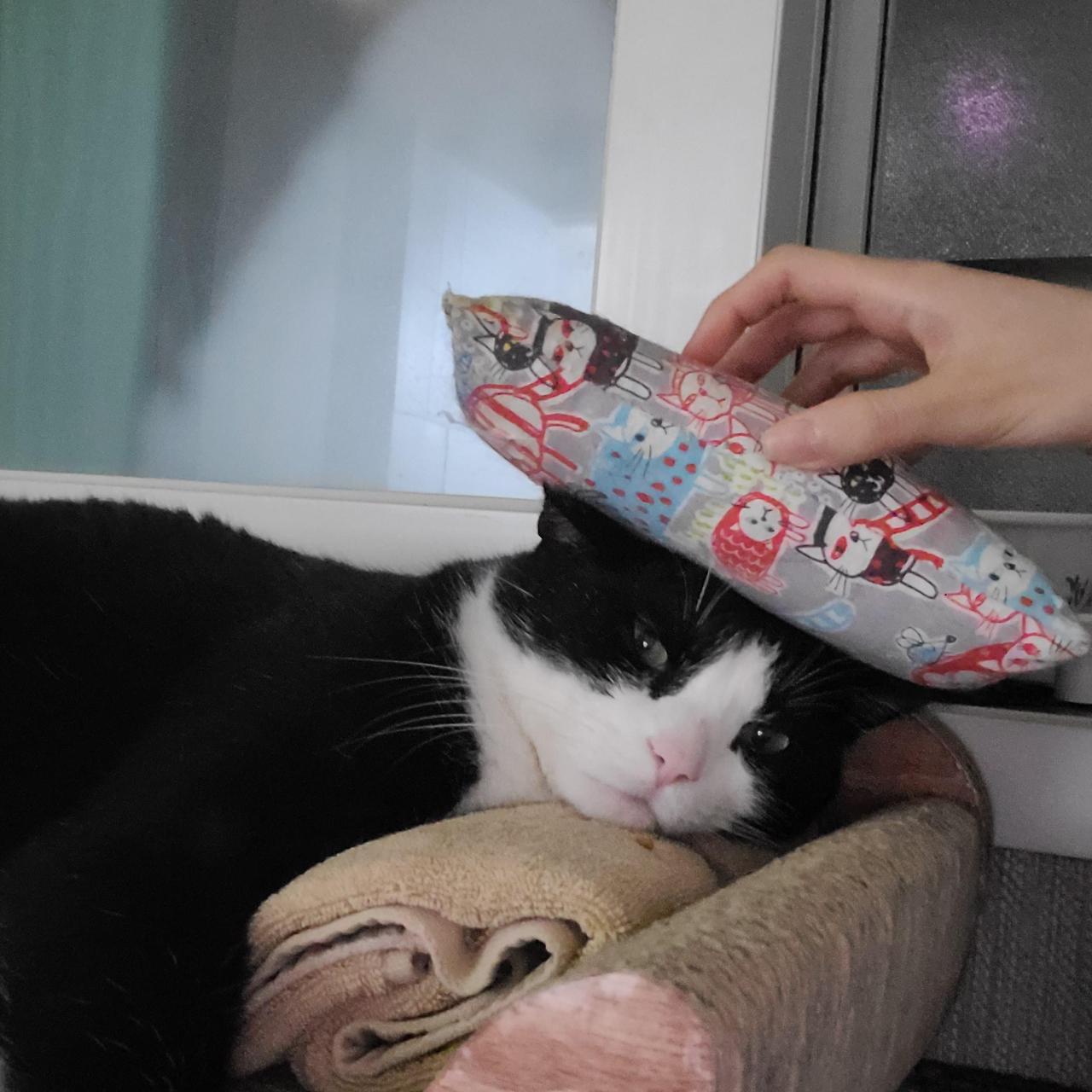 ?scode=mtistory2&fname=https%3A%2F%2Fblo